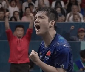 樊振东迎来大喜讯！德甲俱乐部工资曝光，1年一套大别墅